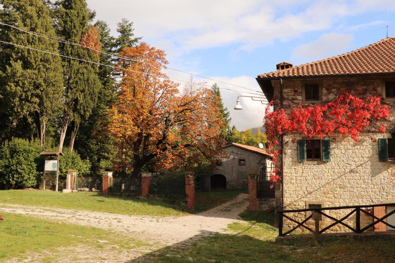 Agriturismo Villaggio Eden П'єве-Санто-Стефано Екстер'єр фото