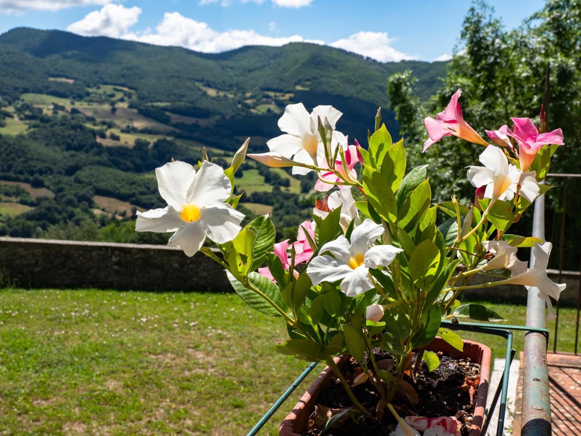 Agriturismo Villaggio Eden П'єве-Санто-Стефано Екстер'єр фото